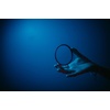 image:imageMoment Cinebloom Diffusion Filter 5 37mm72mm